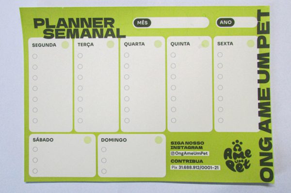 Planner Semanal- AUP