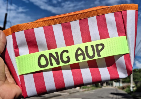 Nesesserie - AUP